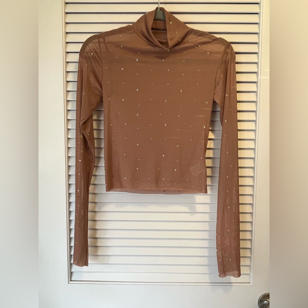 Brown Sheer Long Sleeve Top